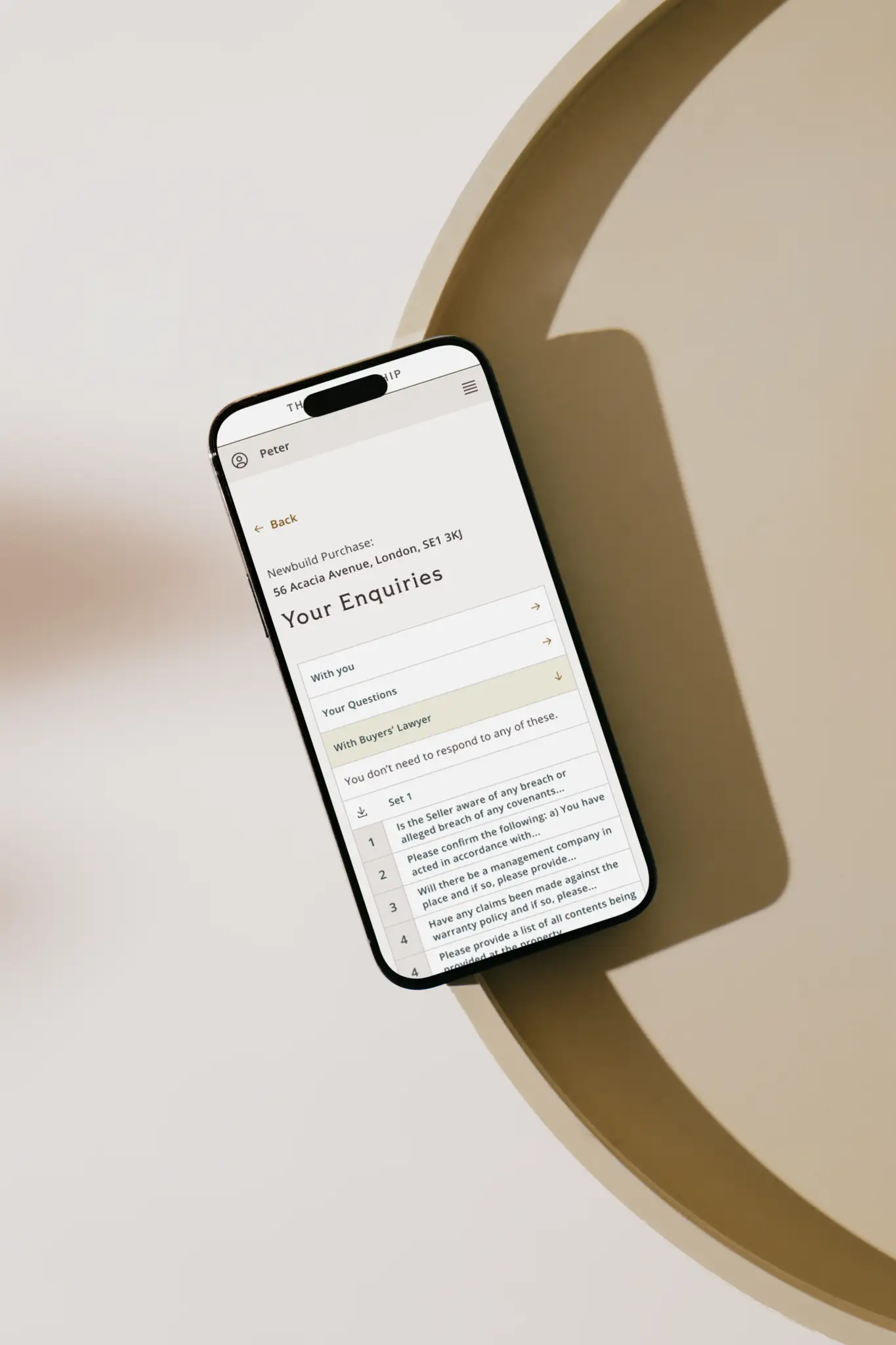Client portal preview